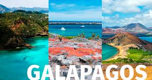 They've captivated visitors since charles darwin visited in 1835, but how much do you really know? Since July The Galapagos Islands Have Also Reactivated Visits