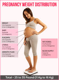 Pregnancy Weight Gain Calculator Weight Gain Chart