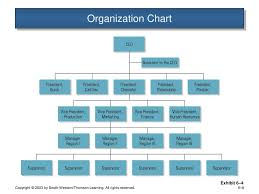 Principles Of Organizations Ppt Download