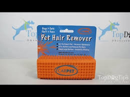 carpet pet hair remover tool review