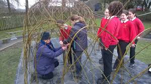 Willow For Schools Yorkshire Willow