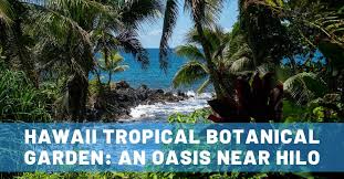 hawaii tropical botanical garden on the