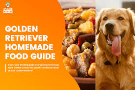 golden retriever homemade dog food