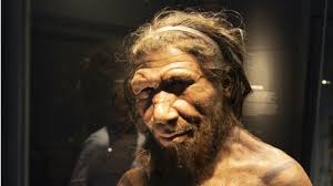 Wetin we know about how sex with Neanderthals bin dey like - BBC News Pidgin