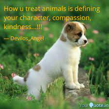 Compassion, animals, kindness, goodness, character, animal cruelty, morality. Quote About Kindness To Animals