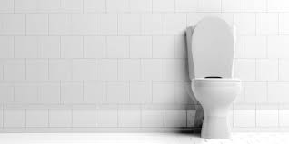 potential and pitfalls of smart toilets
