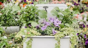 hottest gardening trends