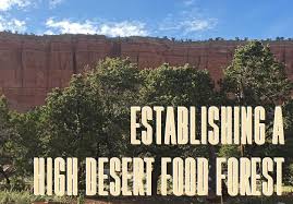 Establishing A High Desert Food Forest