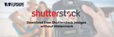 free shutterstock images