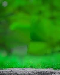 cb green nature blur background full hd