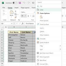 how to copy a table from excel to word