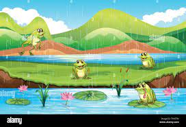 Ilustración de la escena con un estanque de ranas Imagen Vector de stock -  Alamy