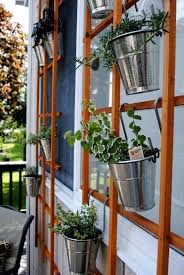 Hanging Plants On Lattice Diy Herb