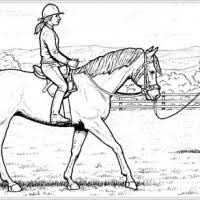 › ausmalbild reiterin mit ausrüstung ausdrucken. Malvorlagen Pferde Kostenlos Mit Reiter Coloring And Malvorlagan