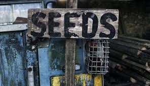 should your farm sell vegetable seeds