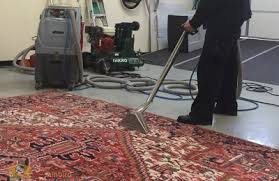 sunbird carpet cleaning mesquite tx