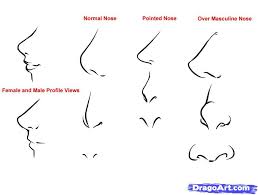 How to draw a simplified cartoon nose step 1 cartoon styles often simplify features including cartoon noses. View 12 Easy Female Nose Drawing Cartoon