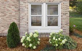 Egress Windows Ing Guide The Home