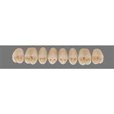 3d Shades Mft Teeth Laboratory Henry Schein