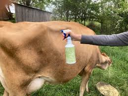 homemade fly repellant spray for