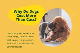 why do dogs cost more than cats