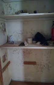 mold on drywall can moldy drywall