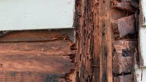 Signs Of Termite Damage Forbes Home
