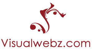 Visualwebz LLC - Seattle Web Design & SEO Marketing Firm
