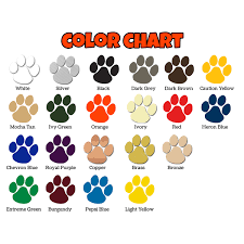 Shiba Inu Color Chart Dogs Breeds And Everything About
