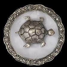 Placing Feng Shui Turtle In Your House