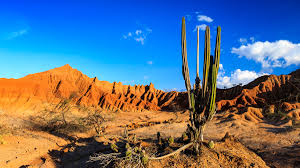Resultado de imagen para desierto