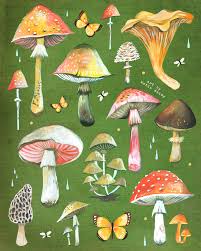 Mushroom Chart Vertical Print