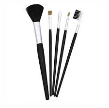 5 piece cosmetic makeup brush set