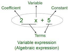 How To Identify An Algebraic Expression