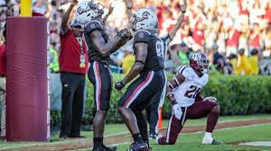 South Carolina Tight End Forced To End Football Career After