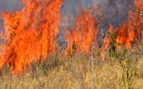 Jun 26, 2021 · φωτιά βρίσκεται σε εξέλιξη στην περιοχή πάτημα στα εξαμίλια κορινθίας. Korin8os Fwtia Sth Nea Almyrh Ekkenwsh Toy Xwrioy Ryto