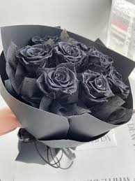 black roses black flowers flower