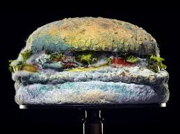 burger king s mouldy whopper ad