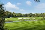 Florida Golf Vacation Packages - Hammock Bay Golf Club
