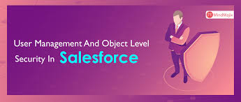object level security in sforce