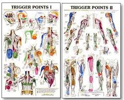 Trigger Point Charts Showing The Many Common Referral