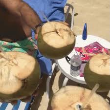 Coconut water has less sugar than many sports drinks and much less sugar than sodas and some fruit juices. Coconut Gifs Tenor