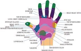 Revisiting Reflexology Concept Evidence Current Practice