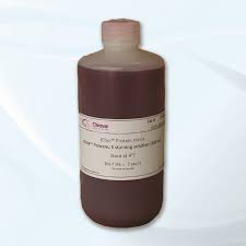 ponceau s staining solution