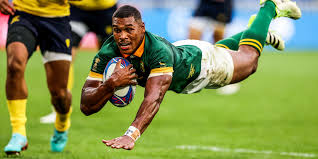 damian willemse get paid to play rugby