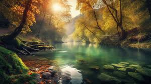 river in an autumn forest with a sun