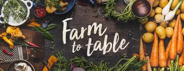 the farm to table movement explained
