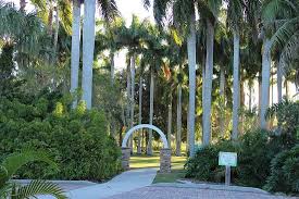 picture of palma sola botanical park