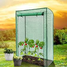 Tomato Greenhouse Reinforced Frame Amp