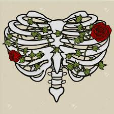 There are twelve pairs of ribs that form the protective cage of the thorax. Heart Shaped Rib Cage Roses And Ivy Royalty Free Cliparts Vectors And Stock Illustration Image 115411673